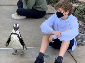 Penguins and students